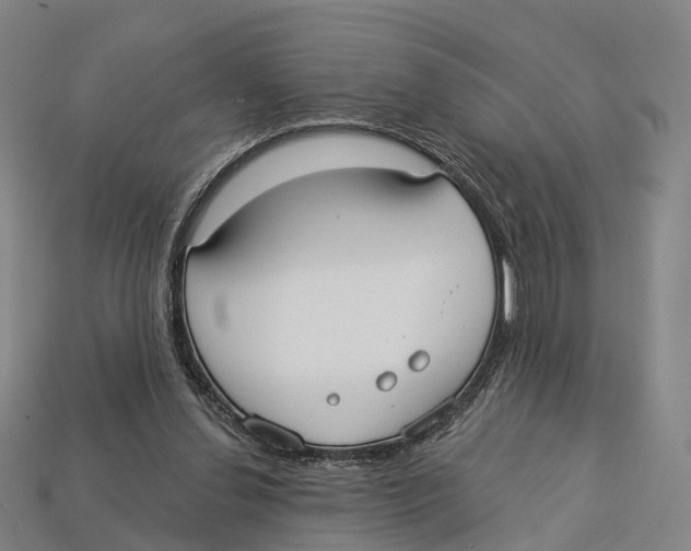 X0000113100252200909251037