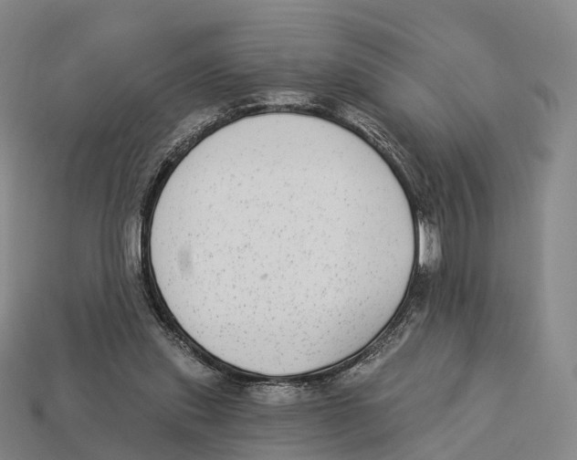 X0000113100253200909251037
