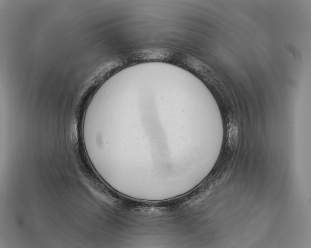 X0000113100254200909251037