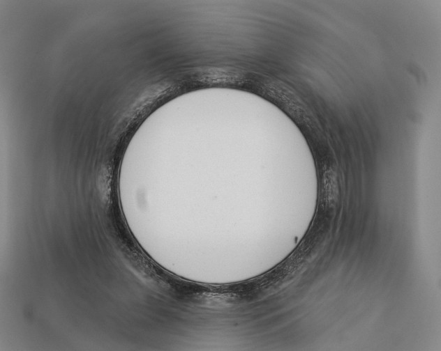 X0000113100255200909251037