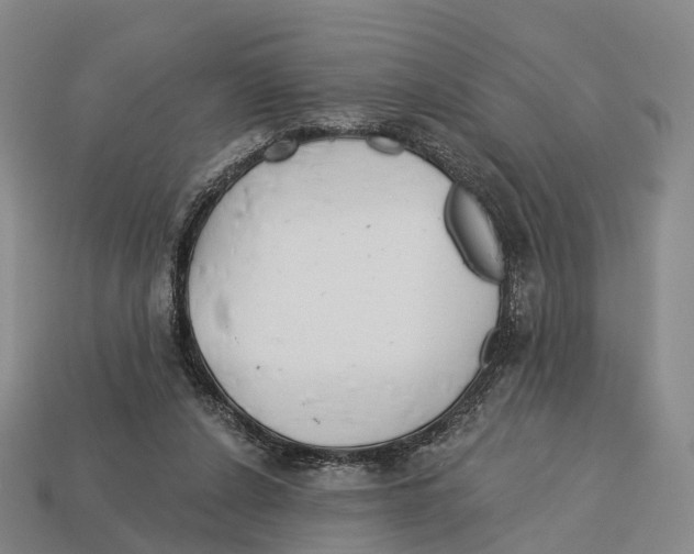 X0000113100256200909251037