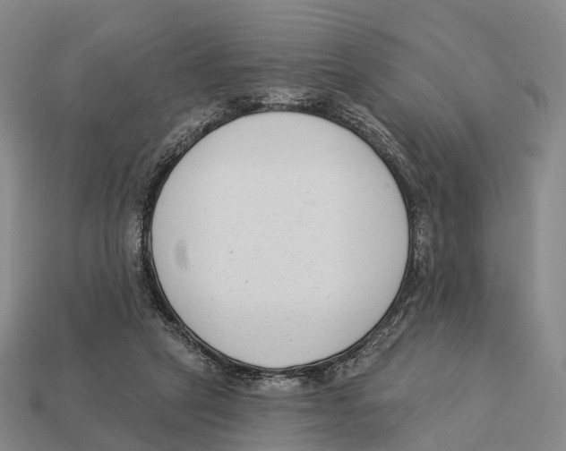X0000113100257200909251037