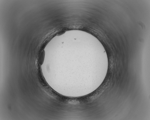 X0000113100258200909251037