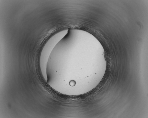 X0000113100260200909251037