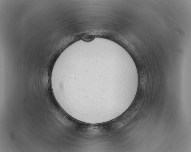 X0000113100261200909251037