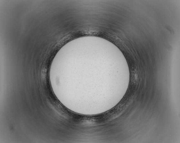 X0000113100263200909251037