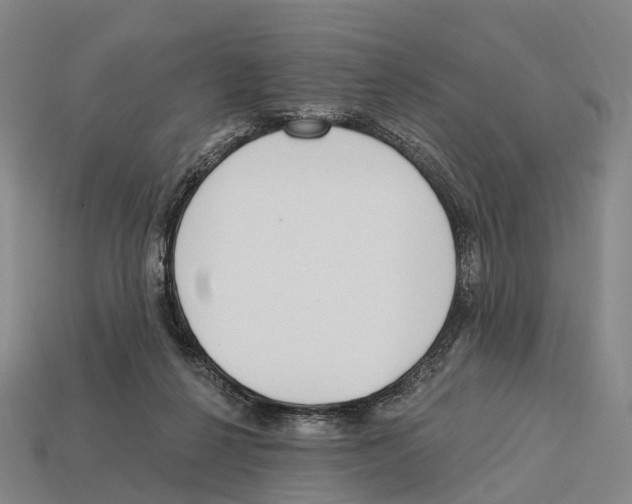 X0000113100264200909251037