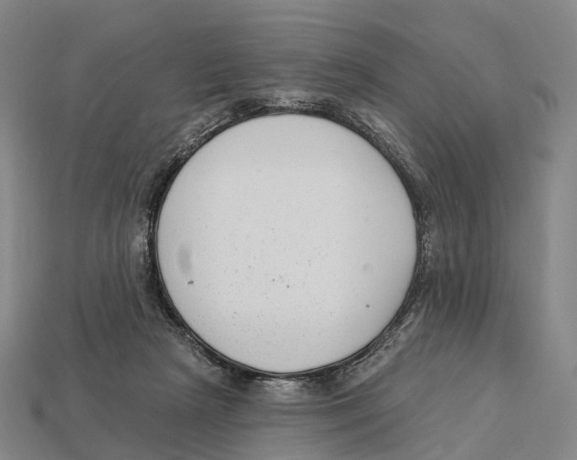X0000113100265200909251037