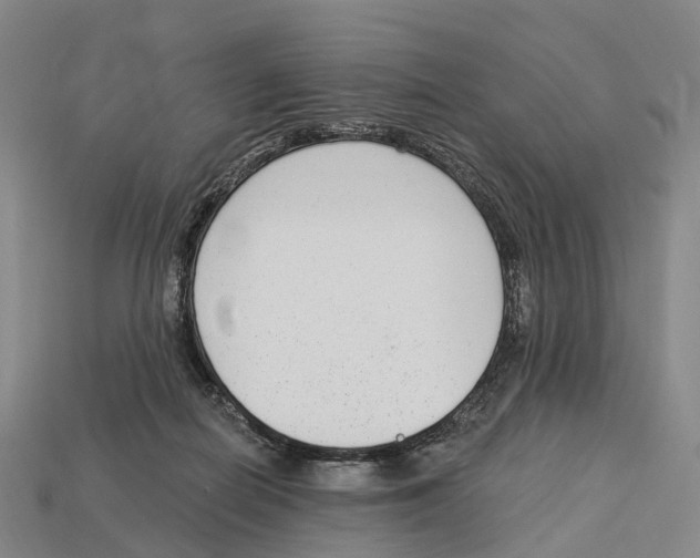 X0000113100266200909251037