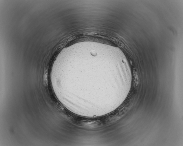 X0000113100267200909251037