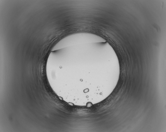 X0000113100268200909251037