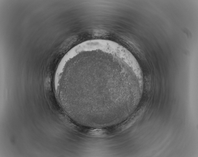 X0000113100269200909251037