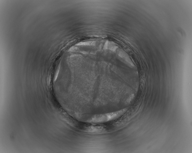 X0000113100270200909251037