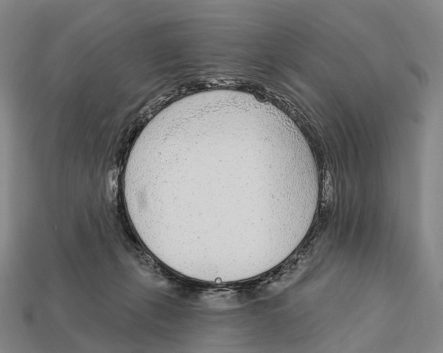 X0000113100271200909251037