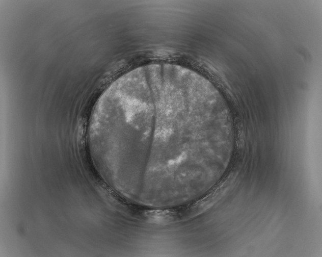 X0000113100273200909251037