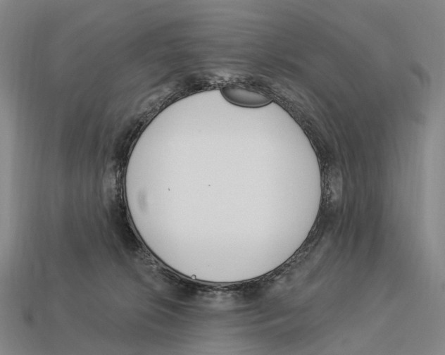 X0000113100276200909251037