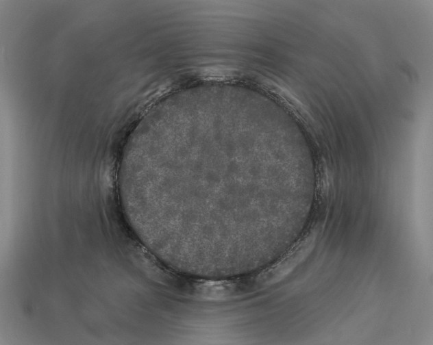 X0000113100277200909251037