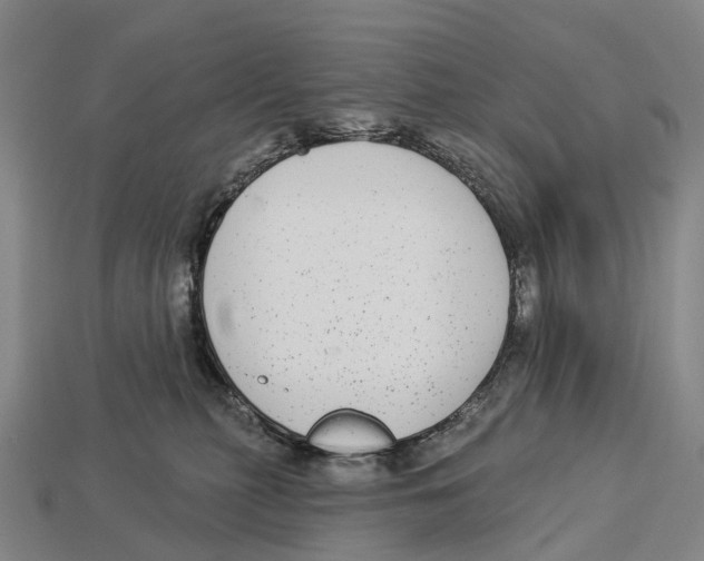X0000113100279200909251037