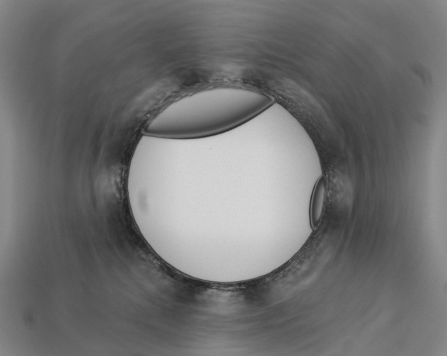 X0000113100280200909251037