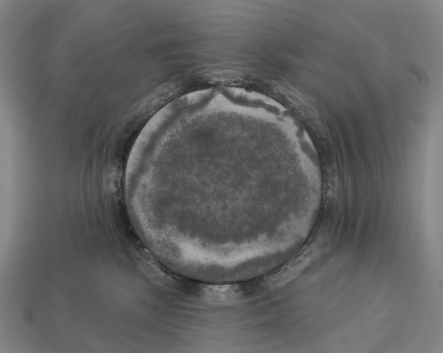 X0000113100281200909251037