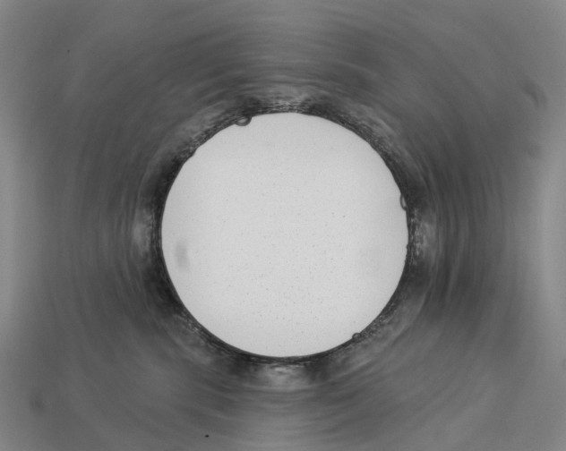 X0000113100283200909251037