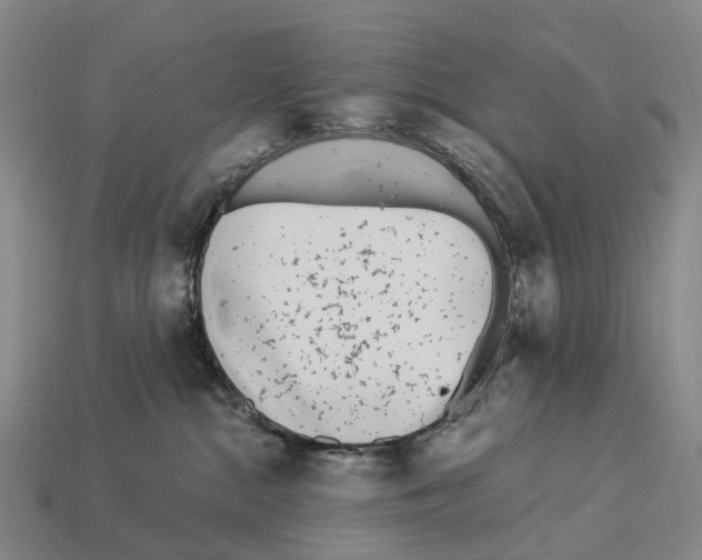 X0000113100284200909251037
