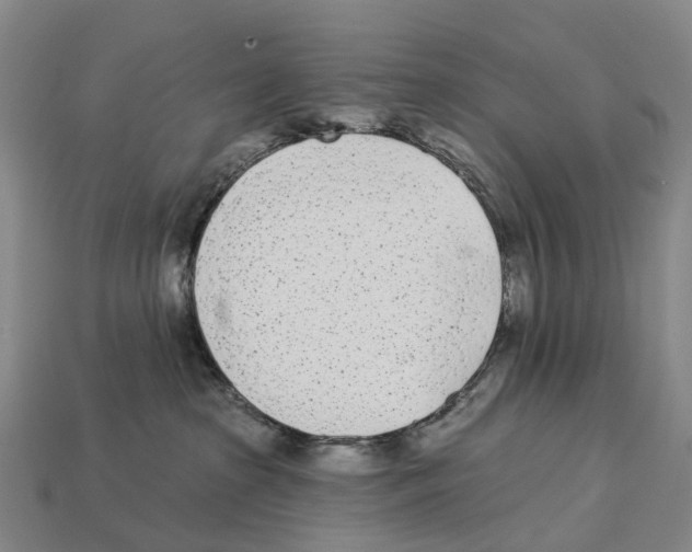 X0000113100285200909251037