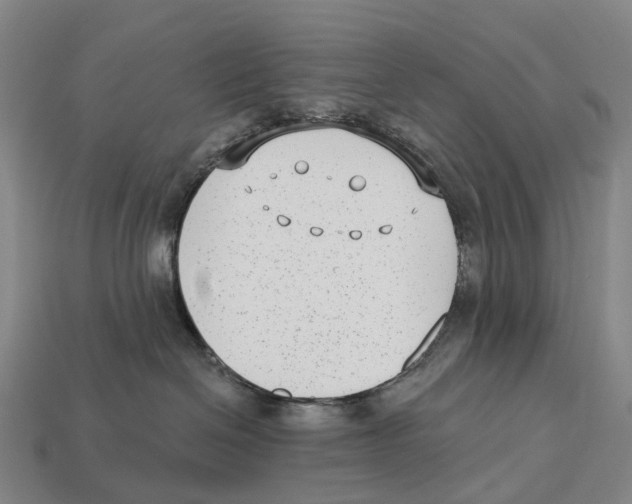 X0000113100286200909251037