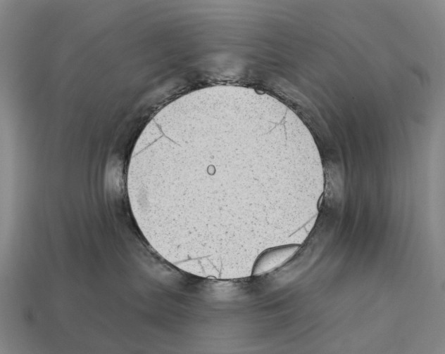 X0000113100287200909251037