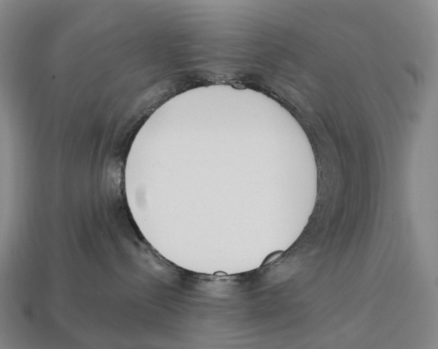 X0000113100288200909251037