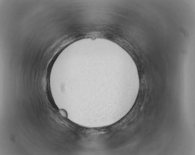 X0000113100290200909251037
