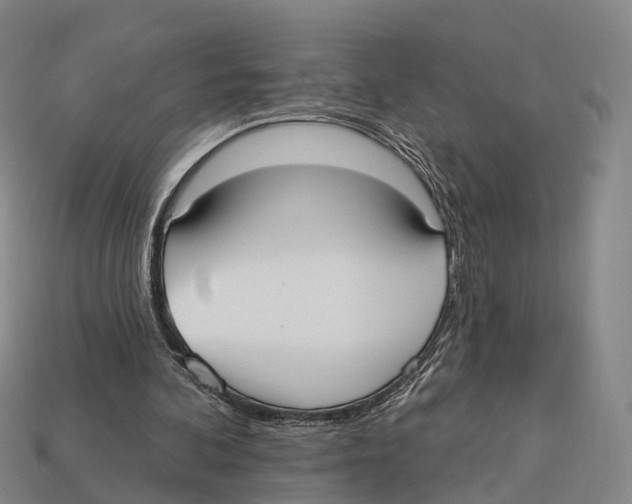 X0000113100292200909251037
