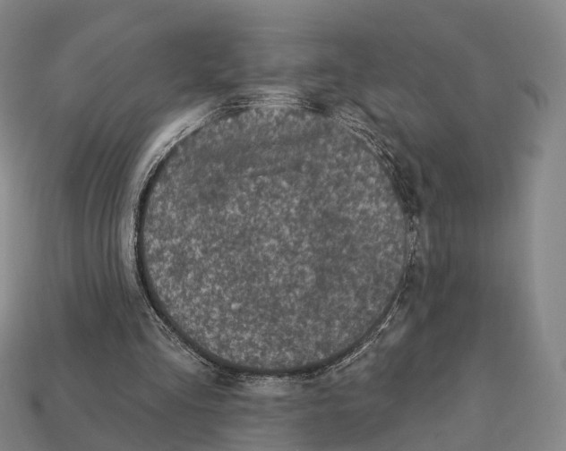 X0000113100293200909251037