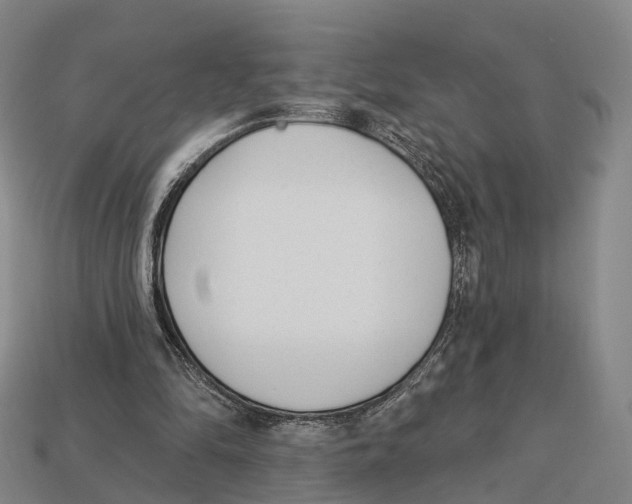 X0000113100294200909251037