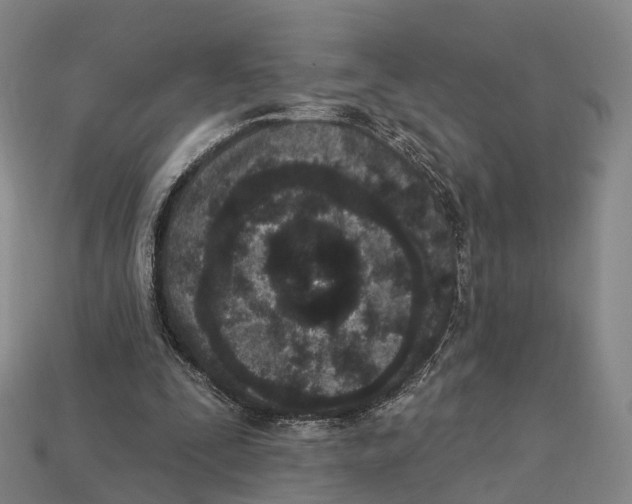 X0000113100295200909251037