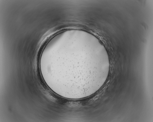 X0000113100296200909251037