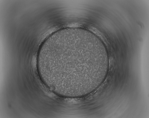 X0000113100297200909251037