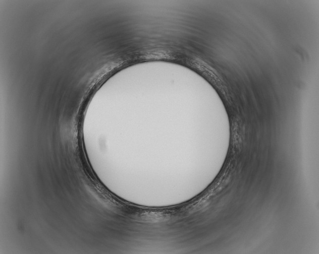 X0000113100298200909251037
