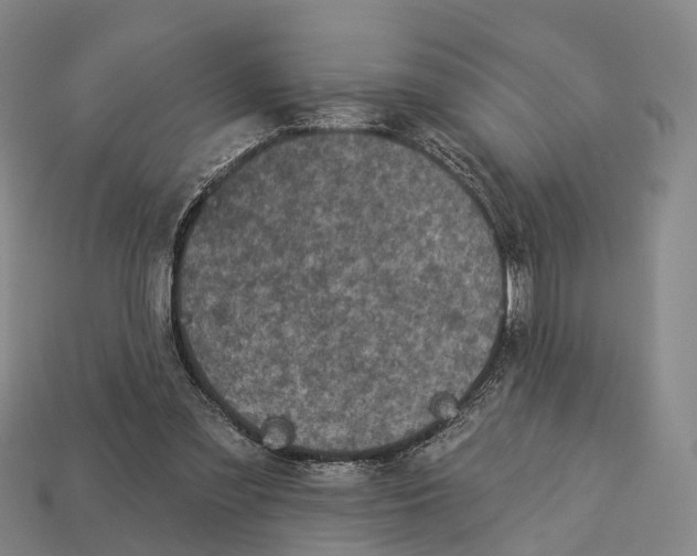 X0000113100301200909251037
