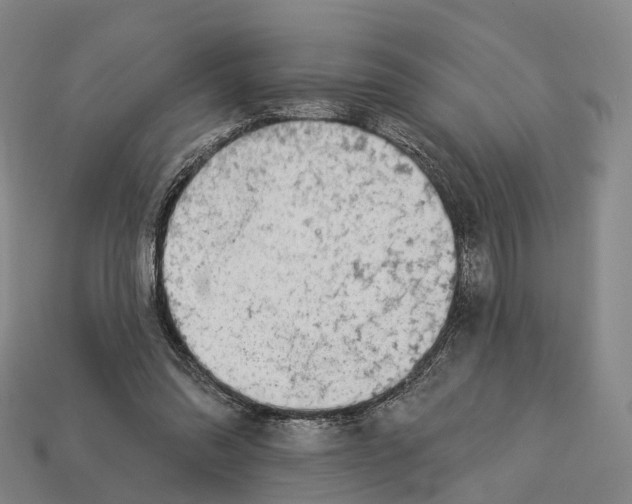 X0000113100302200909251037