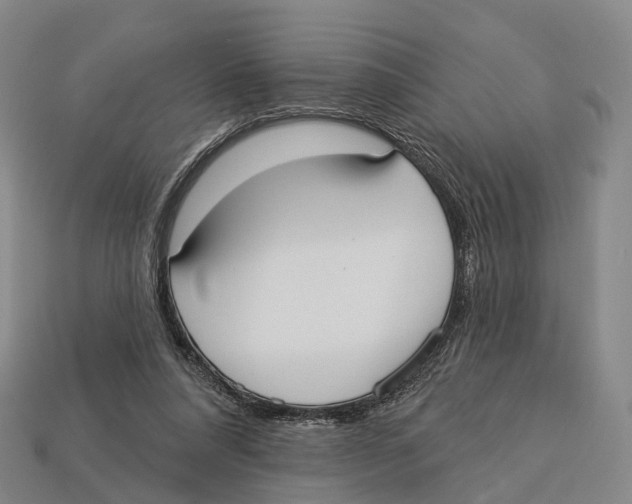 X0000113100304200909251037