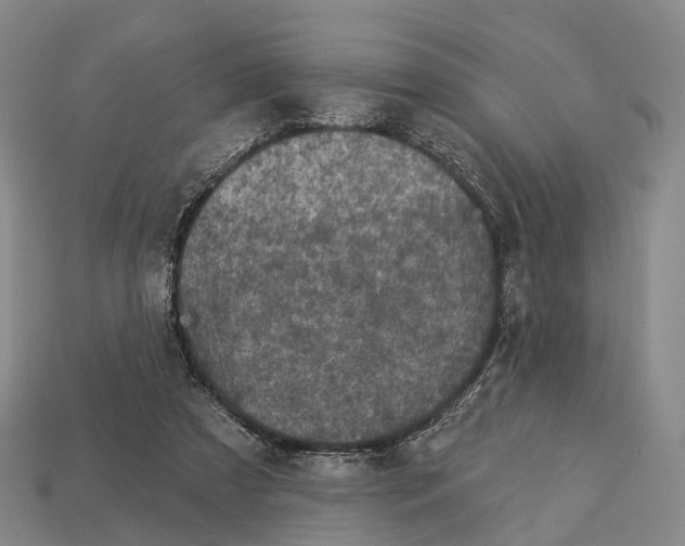 X0000113100305200909251037
