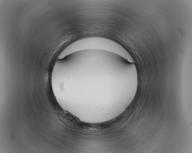 X0000113100308200909251037