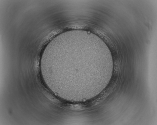 X0000113100309200909251037