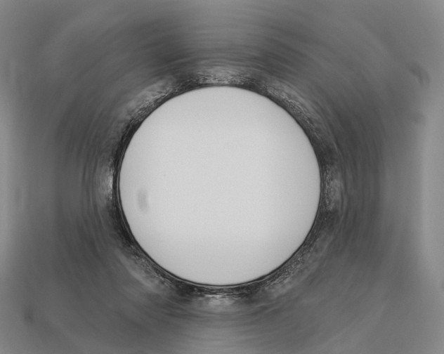 X0000113100310200909251037