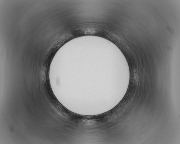 X0000113100311200909251037