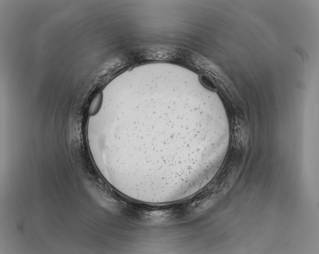X0000113100312200909251037
