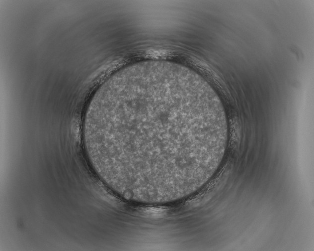 X0000113100313200909251037