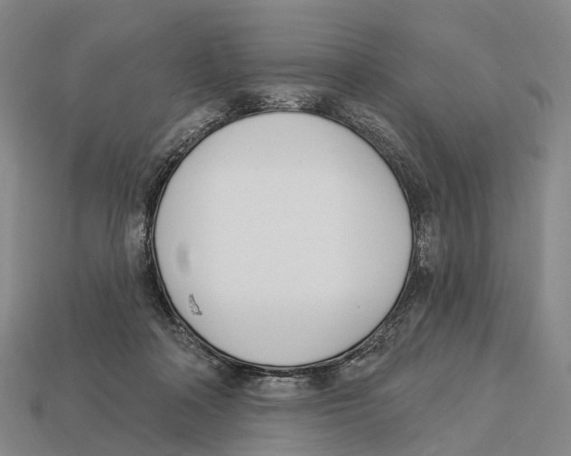 X0000113100314200909251037