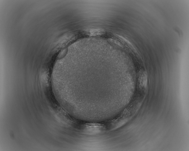 X0000113100316200909251037
